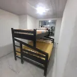 La Casa Del Camello